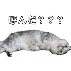 ringo_20210910034452