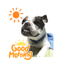 Taru_20210910061401