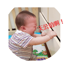 周BB的生活日常