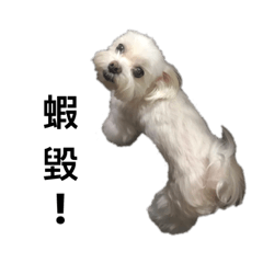 家犬ㄧ枚