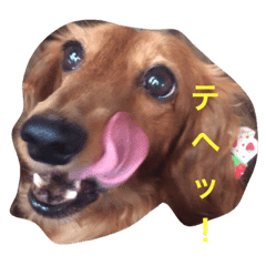 My Name Is Ruka Line Stickers Line Store My Name Is Ruka Line Stickers Line Store