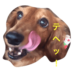 My Name Is Ruka Line Stickers Line Store