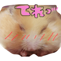 hamuchu1