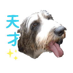 chan_20210914122834