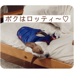 chihiro_20210910110507