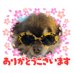 koko_20210910105157