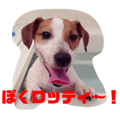 chihiro_20210910113340