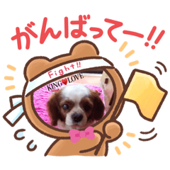 kaori_20210910113213