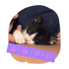 ちぃちゃん こんばんは01