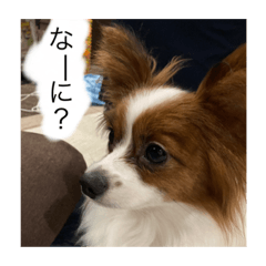 hana_20210910125948