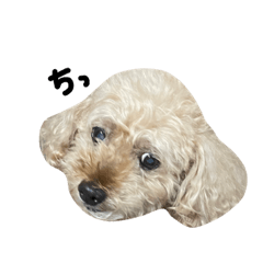 yamada_20210914173929