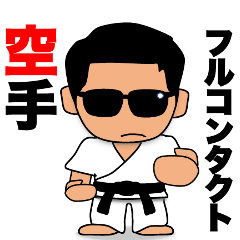 Full-contact Karate Sunglasses