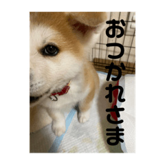 Rina_20210910154014