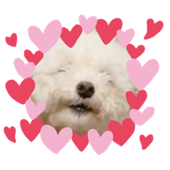 かねねんのうめ吉くん④