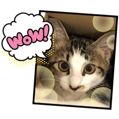 Tomomi_20210914161032