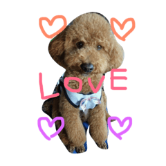 ViVi_LOVE