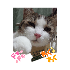 Tomomi_20210914202645