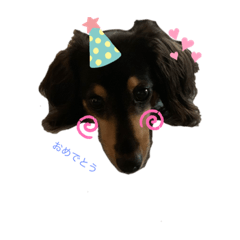 Ayumi_20210914213841