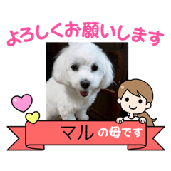 maru521koko329