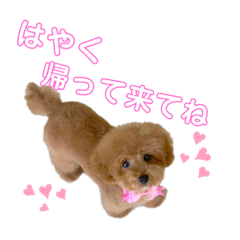 koko_20210910165228