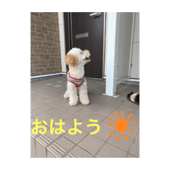 KAITO_20210914221555