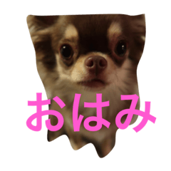 mwjtd
