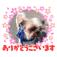 miki_20210914225757