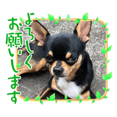 miki_20210914231216