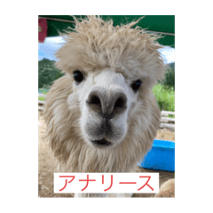 RAKUO_20210910085233