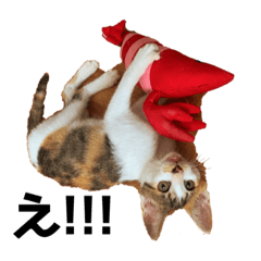 asuka_20210914235302