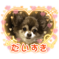 miki_20210915084926