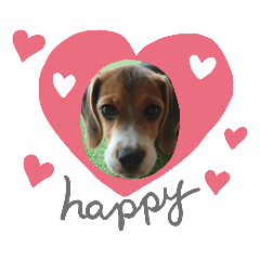 akiko_20210915100659