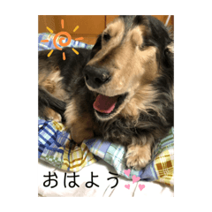 miki_20210910184451