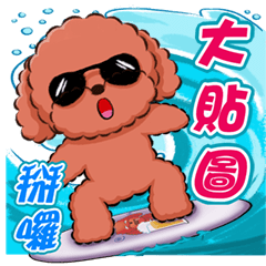Red Poodle Qmo -sports style!