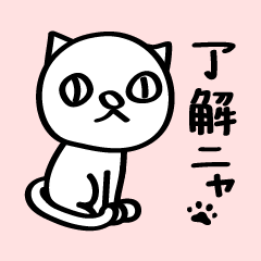 cat shiro 1
