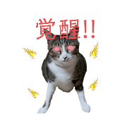 CHOCOKING_20210910184510