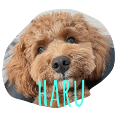 ayumi_20210910181950