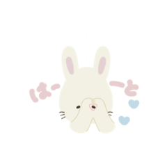 토끼 귀엽다