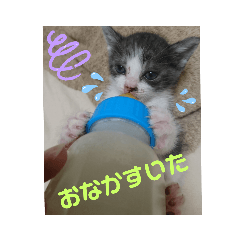 cbct_20210910194108