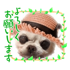 miki_20210915125437