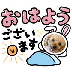 miki_20210913161228