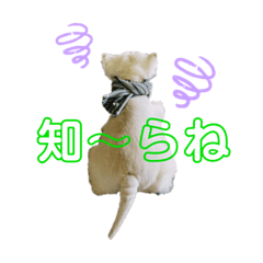 akiko_20210915115351