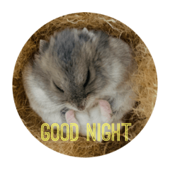 yukari_20210910211400