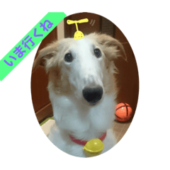 SAYURI_20210910212118