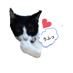 yuina_20210910214059