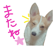 ohanastamp! ohanastamp!