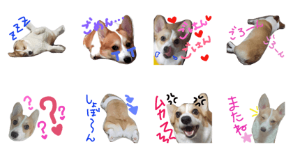 ohanastamp! ohanastamp!