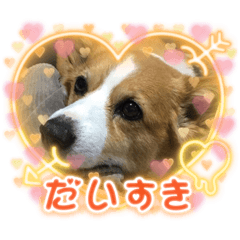 miki_20210915163945