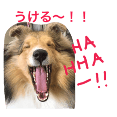 笑う犬 Line スタンプ Line Store 笑う犬 Line スタンプ Line Store