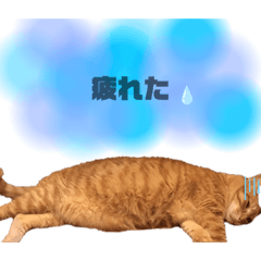 NOZOMI_20210910215105